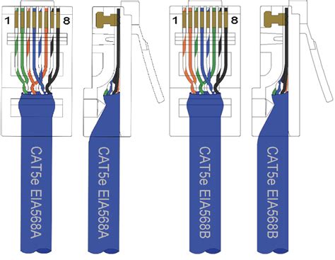 cat5e wiring setup